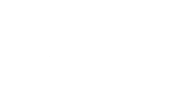 White Lion Casino  logo